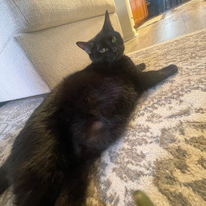 Meet your Posher, Jade